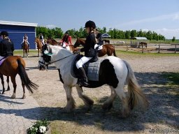 dsc9237-646